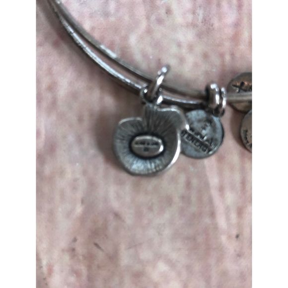 Alex & Ani Apple of Abundance bracelet - Picture 5 of 6